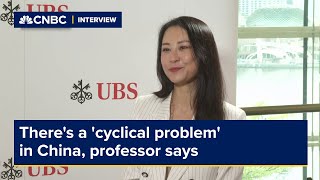 Theres a cyclical problem in China professor says [upl. by Rima]