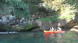 Kayak Tours in Nerja Maro and on the Viñuela Lake Andalucia Spain [upl. by Adnuahs]