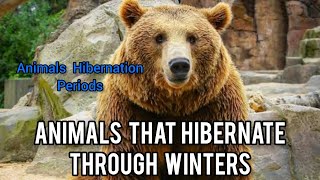 Top 10 Animals that Hibernate through Winters  Animal Hibernation Period during Winters [upl. by Critta]