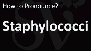 How to Pronounce Staphylococci CORRECTLY [upl. by Osnofla762]