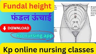 Fundal height according to week of pregnancy [upl. by Aley]