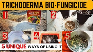 5 UNIQUE Ways of using Trichoderma Biofungicide in Garden  How to Multiply Trichoderma Viride [upl. by Novaat]