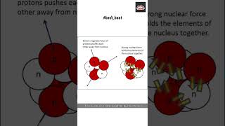 Nucleus of an Atom  basic chemistry  nucleus  nucleon [upl. by Ramor107]