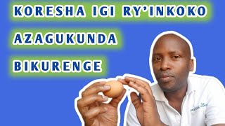 Koresha igi ryinkoko yInyarwanda azagukunda bikurenge [upl. by Neersan839]