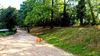 London Autumn Walk Through Crystal Palace Park 4K [upl. by Lemmy515]