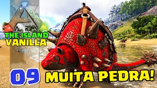 DOEDICURUS pega MUITA PEDRA  ARKSURVIVAL EVOLVED  THE ISLAND VANILLA  09 [upl. by Arluene]