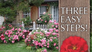 How to Create a Cottage Garden [upl. by Beilul]