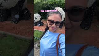 Watch full video 👇 Amazing zoo de beauval 🏇🪷 zoobeauval zoo travelgirl vlog animals [upl. by Tigirb69]