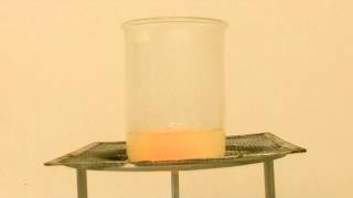 Experiment N°43 Synthesis of salicylic acid English [upl. by Aunson]