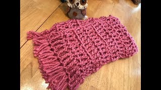 Crochet Scarf  Beginner  Super Fast and Easy [upl. by Odiug459]