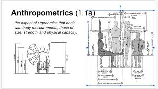 T1  Anthropometrics 1 [upl. by Tihom]