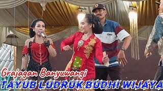 GRAJAGAN BANYUWANGI  Tayub Ludruk budhi Wijaya [upl. by Laroy]