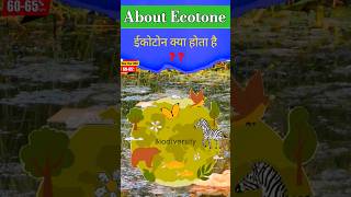 About Ecotone in environment and ecology trending geographyoptional history geographyfacts eco [upl. by Jat920]