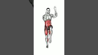 meilleurs exercices abdominaux debout exercice debout pour ventre plat sportmaison stomach [upl. by Lester]