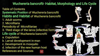 Classification general characteristics distribution Lifecycle mode of infection of wuchereria [upl. by Reivaz]