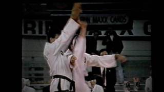 Rising Sun Martial Arts  Master Martin Demo 1992 [upl. by Norvell]