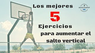 COMO AUMENTAR EL SALTO VERTICAL RAPIDAMENTE  PLIOMETRIA  ENTRENAMIENTO PARA BASQUETBOL [upl. by Yancey596]