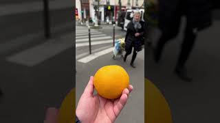 Un pamplemousse génant 🍊 [upl. by Ayna]