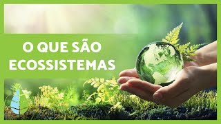 Definição e TIPOS de ECOSSISTEMAS 🏜️🏙️🌅 [upl. by Theta]