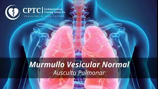 Murmullo Vesicular normal [upl. by Norym]