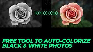 FREE TOOL to AutoColorize Black amp White Photos Online [upl. by Rehsu]