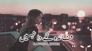 FAIDA  TAKKAY  DA NAI ❤️  SLOWED AND REVERB  SARAIKI  SONG [upl. by Anigriv255]