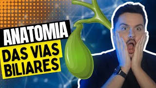 Resumão de Anatomia das Vias Biliares [upl. by Mani]