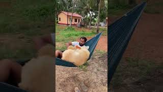 Hammock Gets Torn as Dog and Owner Attempt to Relax in it Together  1349216 [upl. by Hgielime437]