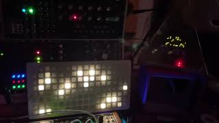 Norns Monome grid amp Crow Experiment [upl. by Leraj]