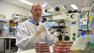 Day in the Life  Microbiology  Virology  Prof Bill Rawlinson [upl. by Siaht]