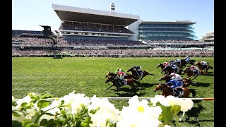 Full replay 2024 Lexus Melbourne Cup [upl. by Etnud]