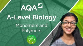 AQA A Level Biology Monomers and Polymers [upl. by Urion4]