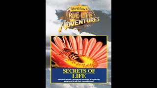 True Life Adventures Secrets Of Life 1956 DVD Opening [upl. by Celestyn]