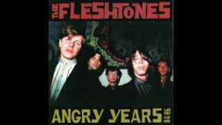 The Fleshtones  5 New Fleshtones [upl. by Aterg]