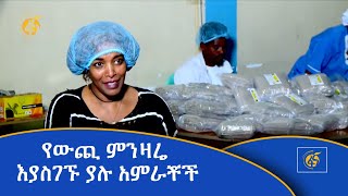 የውጪ ምንዛሬ እያስገኙ ያሉ አምራቾች [upl. by Lihcox]