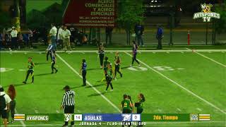 FLAG INFANTIL ORO VS AGUILAS 2 [upl. by Stoddart]