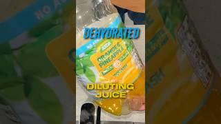 Dehydrated Diluting Juice airfryer cooking snacks food picnic pincichack dehydrate squash [upl. by Orms]