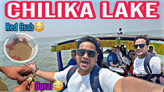 Chilika Lake Odisha Puri Tour Asias Biggest Brackish Water Lake Chilika [upl. by Peednus]