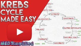 KREBS CYCLE MADE SIMPLE  TCA Cycle Carbohydrate Metabolism Made Easy [upl. by Decamp844]