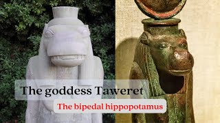 The goddess Taweret Moon Knight pharaonichistory [upl. by Winne]