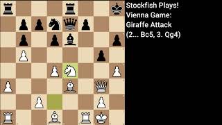 Stockfish Plays Vienna Game Giraffe Attack 2 Bc5 3 Qg4 [upl. by Dev]