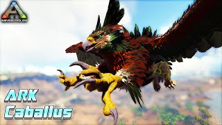 PREPARE MELAWAN BOSS KINGKONG ❗️ ARK SURVIVAL EVOLVED Caballus [upl. by Gagnon]