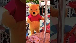 Meeting Pooh Bear winniethepooh disneyland [upl. by Tadio]