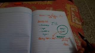 BETA OXIDATION OF FATTY ACIDS part 3beta oxidation of saturated fatty acids [upl. by Monjo]