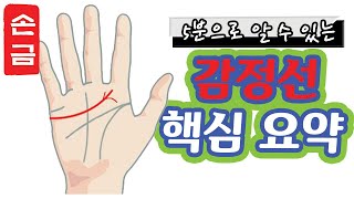 【손금】5분안에 감정선 보는 법｜손금보는남자 [upl. by Arikihs]