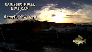 Canisteo River Live Cam 247  Hornell New York  11152024 [upl. by Maury]