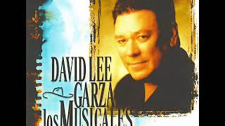 David Lee Garza y Los Musicales Llevame [upl. by Aiuoqes423]