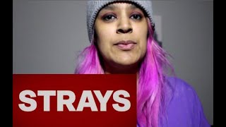 Strays 2023 Movie Review [upl. by Whitney]