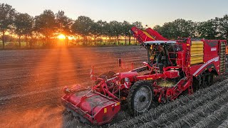 Grimme Varitron 470 TT  Agro Graafstra  Aardappels rooien  DJI Mavic 3 Pro drone  Sunset [upl. by Behnken]