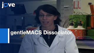 SingleCell Suspensions Preparation With gentleMACS Dissociator [upl. by Anaujait]